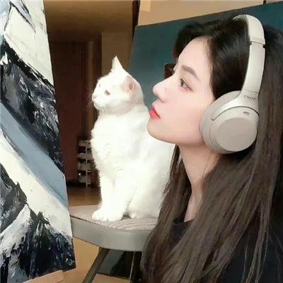 虹猫蓝兔梦之国历险记