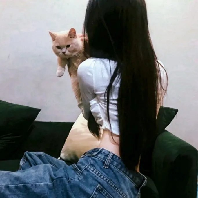 汉娜·考夫曼的故事